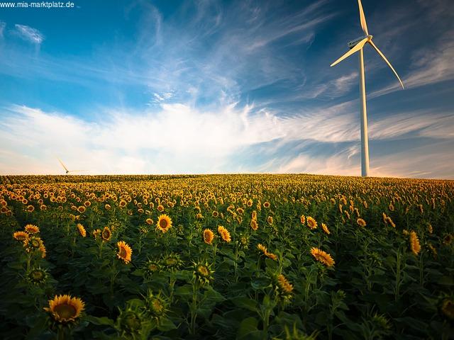 Einleitung: Das Konzept der Energieeffizienz